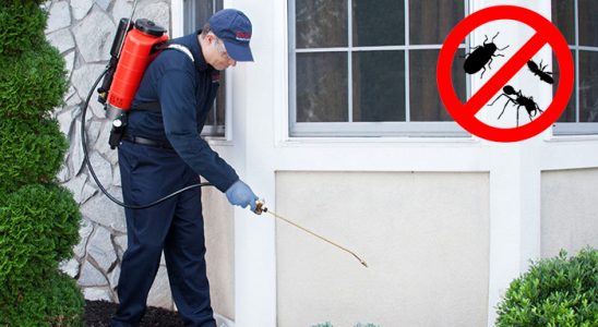 Arhavi Pire İlaçlama böcek ilaçlama ve haşere kontrolü — ilaclama-tr.com